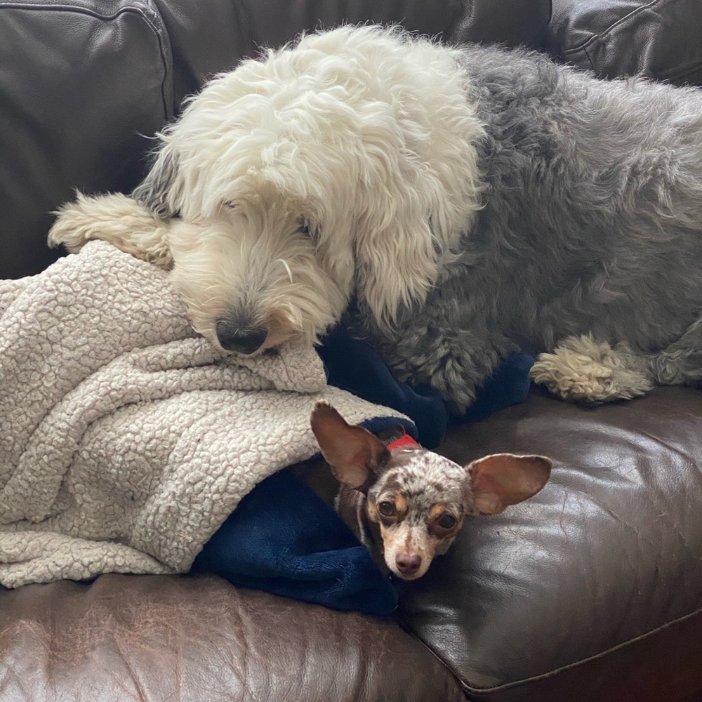 Meet your Posher, Eden